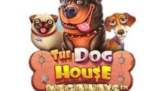The Dog House Megaways nasıl oynanır? RTP ve özellikleri nelerdir?