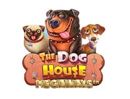 The Dog House Megaways nasıl oynanır? RTP ve özellikleri nelerdir?